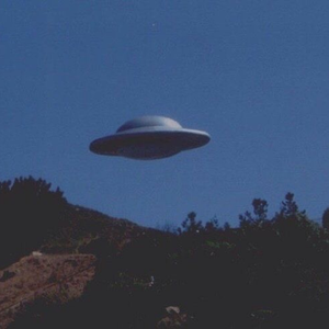 猛男GayGay✅免费网站欧美
