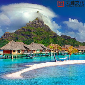 猛男GayGay✅免费网站欧美
